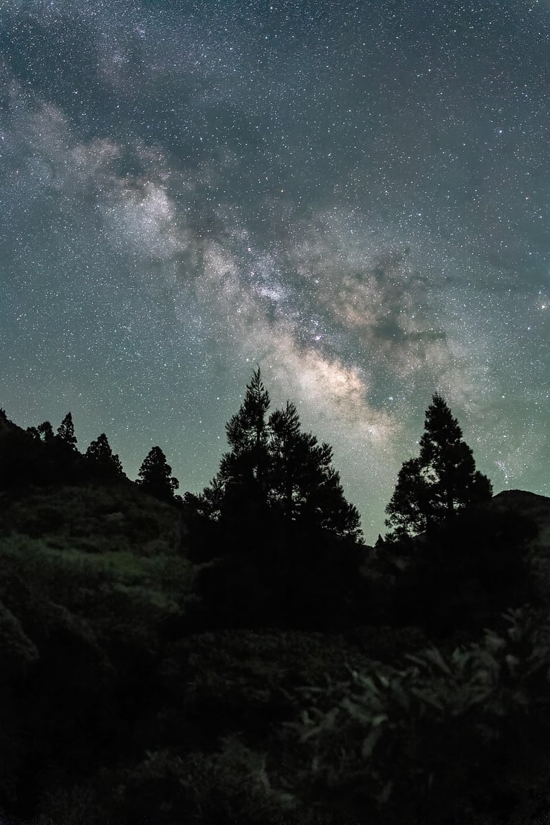 Milky Way over a luxurious estate